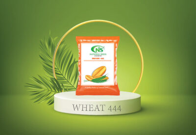 NS WHEAT SEEDS 444 -30 KG